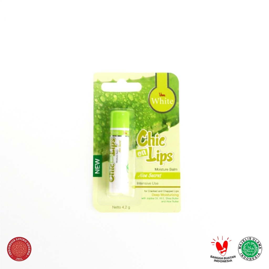 Viva White Chic On Lips Lip Balm 4.2gr - Aloe Secret